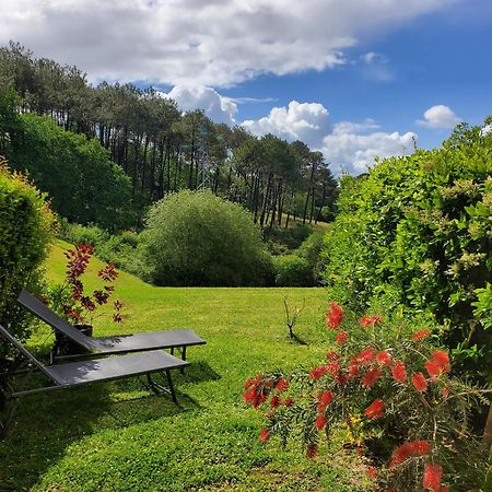 Appartement Calme Avec Jardin Bidart Biarritz Esterno foto